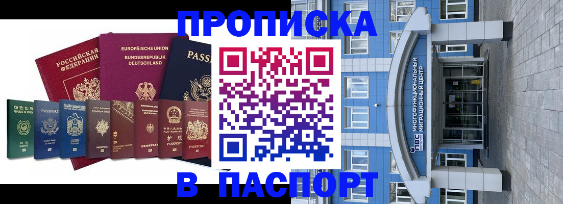 прописка штамп в Александровске